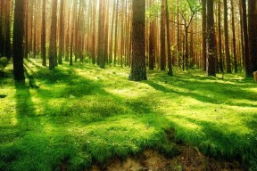 世界游艇挑战赛赛段生态评估报告获奖，第二届国际游艇宝贝大赛